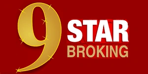 Nine Star Broking Logo